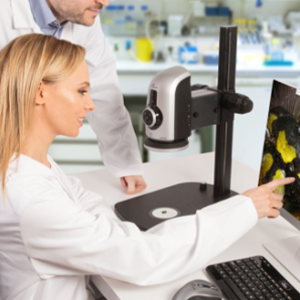 How to Calculate the Effective Magnification and the Size of your Sample on your Monitor when using a Digital Microscope?