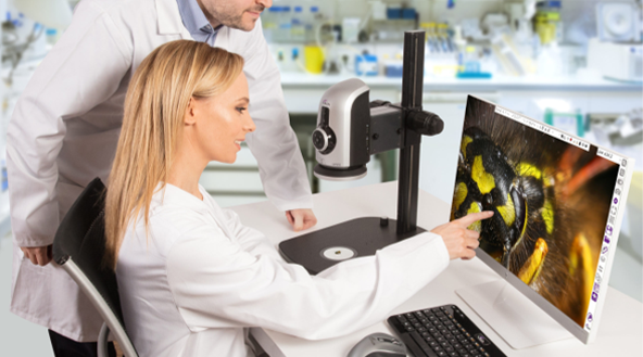 How to Calculate the Effective Magnification and the Size of your Sample on your Monitor when using a Digital Microscope?